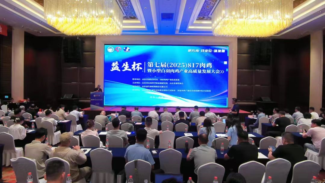 ۻ᡿NGƷ--߽죨2025817⼦СͰ⼦ҵڼֳɾ