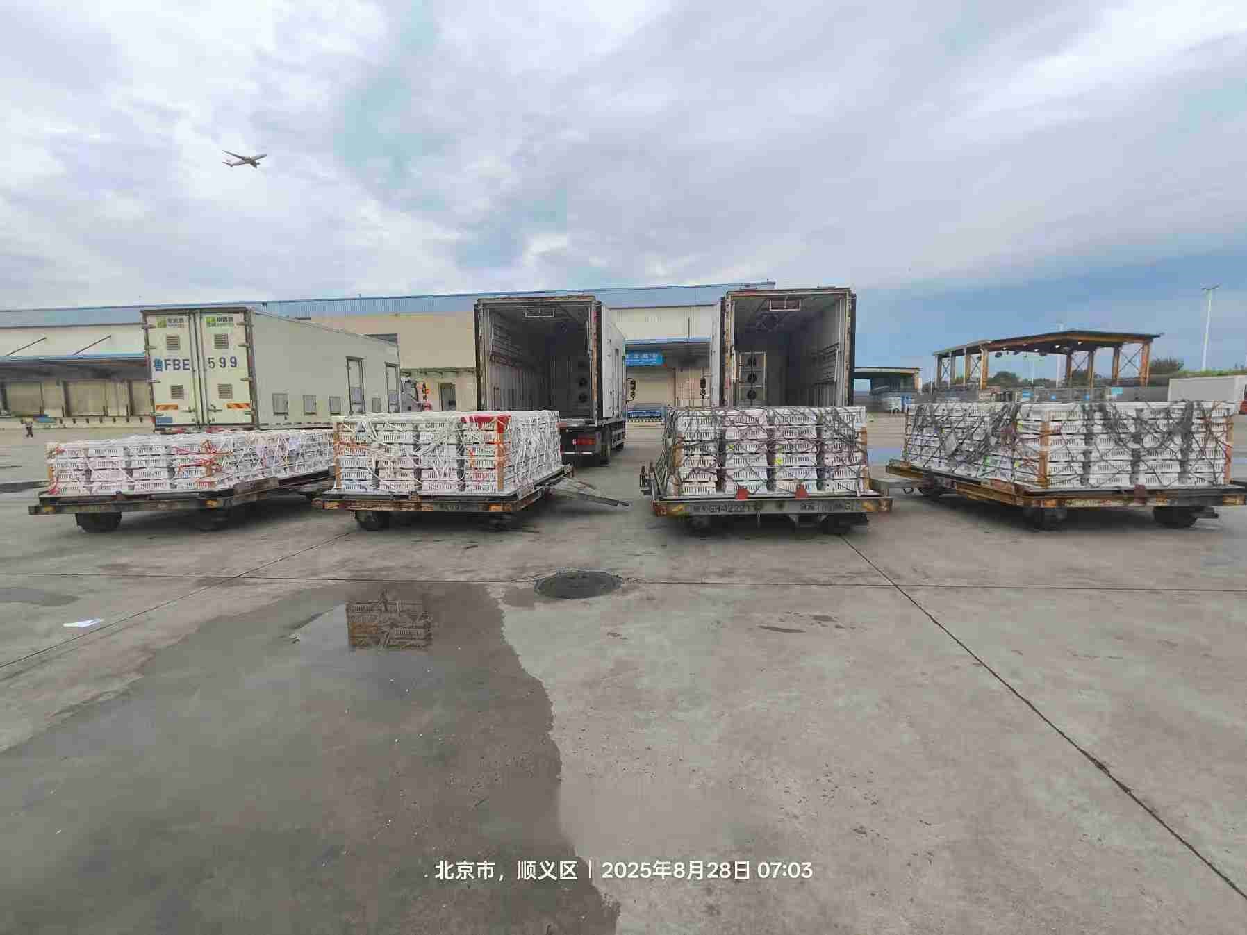 ֡NGƷɷͻ16ףռ59%Ⱦҵͷ